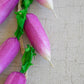 String of Artificial Radishes
