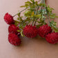 Artificial Red Ball Dahlia Bundle