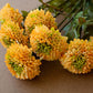 Artificial Yellow Ball Dahlia Bundle