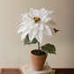White Artificial Poinsettia in Cement Pot