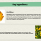 Calendula Dandelion Essential Bar Soap | SallyeAnder