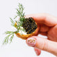 Reserve Ossetra Caviar