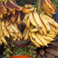 Banana 'Nendran' (Musa)