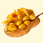 Jackfruit 'Cheena' (Artocarpus heterophyllus x Artocarpus integer)