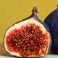 Fig 'Chicago Hardy' (Ficus carica)