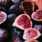 Fig 'Chicago Hardy' (Ficus carica)
