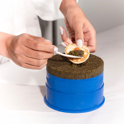 Caviar Party Kit