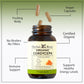 Organic Cordyceps Mushroom