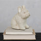 White Terracotta French Bulldog Figurine