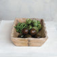Mango Wood Scalloped Edge Tray