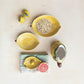 Hand-Painted Stoneware Ceramic Lemon Juicer
