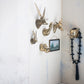 Brass Finish Cast Aluminum Leopard Head with Eyeglasses Wall Mount