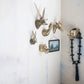 Brass Finish Cast Aluminum Rabbit Head with Ruff Collar Wall Mount