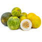 Dosakai (Cucumis melo var. chito)