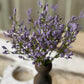 Purple Array Astilbe Bush
