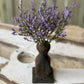 Purple Array Astilbe Bush