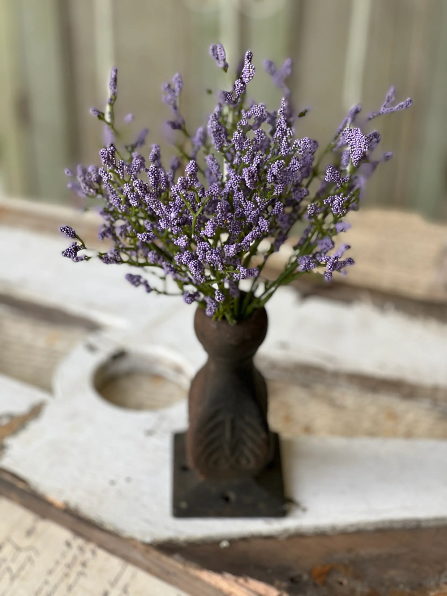 Purple Array Astilbe Bush