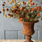 Fall Wind Dancer Bush