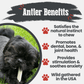 Reindeer Antler Dog Chews | Organic Chews for Dogs