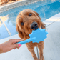 Lick Sticks | Interactive Dog Training Toy