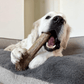 Elk Antler Dog Chews | All-Natural Whole and Split Elk Antler Chews for Dogs
