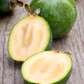Pineapple Guava (Feijoa sellowiana)
