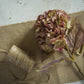 Antique Mauve Fall Hydrangea Spray