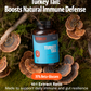 Organic Turkey Tail Mushroom Capsules
