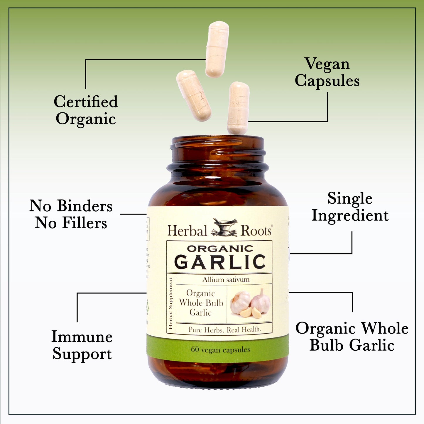 Organic Whole Bulb Garlic