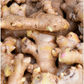 Ginger, Yellow (Zingiber officinale)