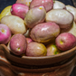 Gopher Apple (Geobalanus oblongifolius)