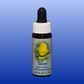 Flower Essence Services Yellow Star Tulip 1oz
