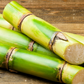 Sugar Cane 'Green'