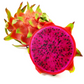 Dragon Fruit, Red 'Tricia' (Hylocereus polyrhizus)