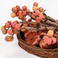 Yellow & Orange Berry Stem