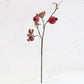 Faux Pomegranate Stem with Leaves
