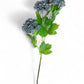 Blue Hydrangea Cluster Stem