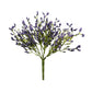 Purple Array Astilbe Bush