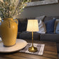 Rechargeable Touch-Control Gold LED Lamp