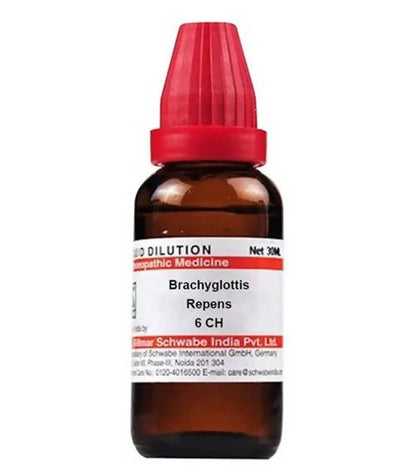 Dr. Willmar Schwabe India Brachyglottis Repens Dilution