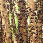 Jabuticaba (Plinia cauliflora)