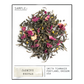 SMITH TEAMAKER - JASMINE NECTAR SEASONAL GREEN TEA BLEND NO. 20 (15 TEA BAGS, 1.06 OZ)