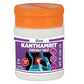 Patanjali Divya Kanthamrit Vati