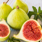 Fig 'Kadota' (Ficus carica)