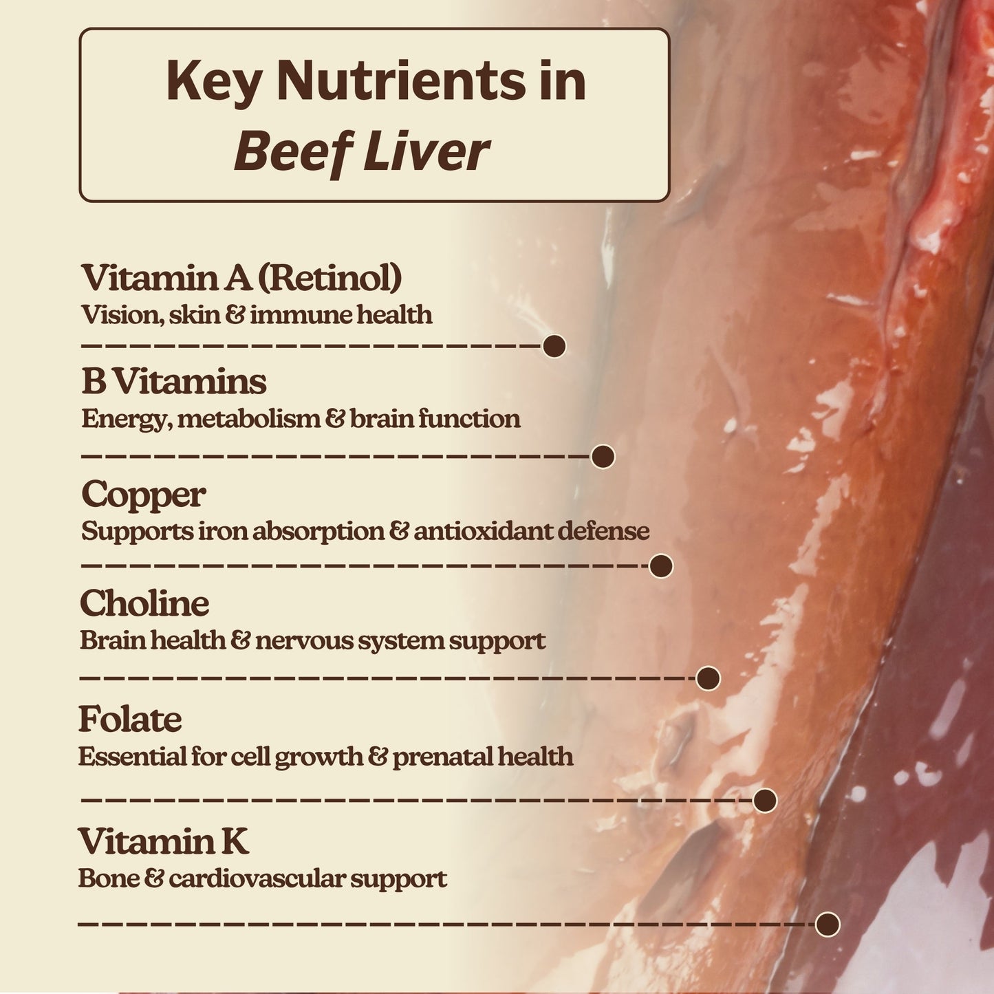 Beef Liver
