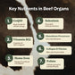 Beef Organs