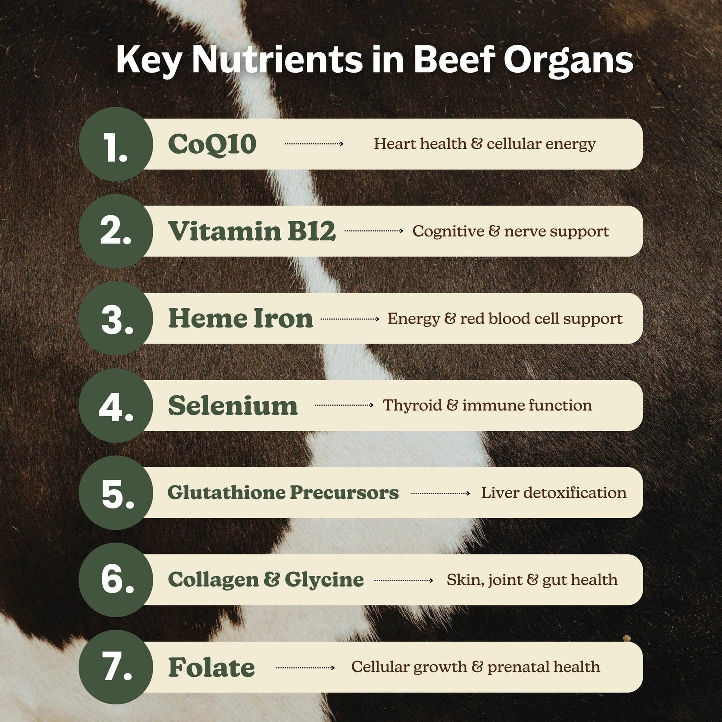 Beef Organs