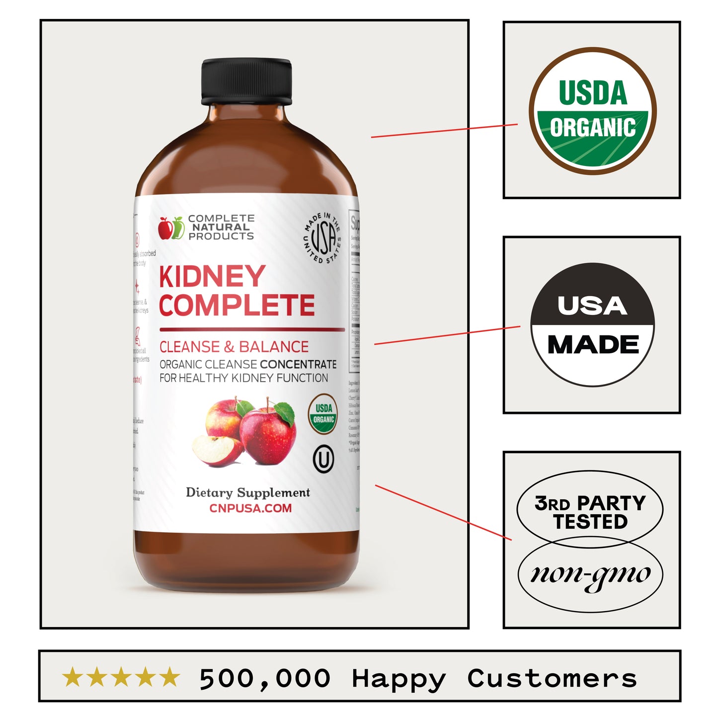 Kidney Complete