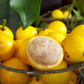 Lemon Drop Mangosteen (Garcinia intermedia)