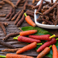 Long Pepper (Piper longum)